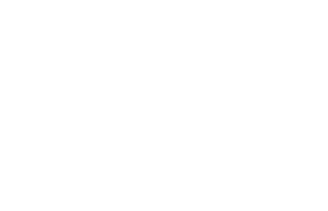 Dz Sanierungen Logo White