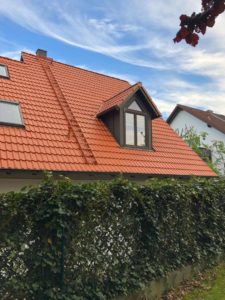 Dz sanierung 008